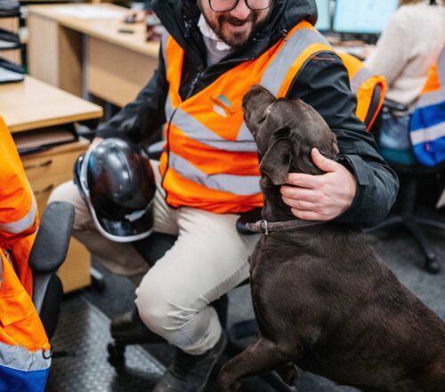 Meet the team Area sales manager